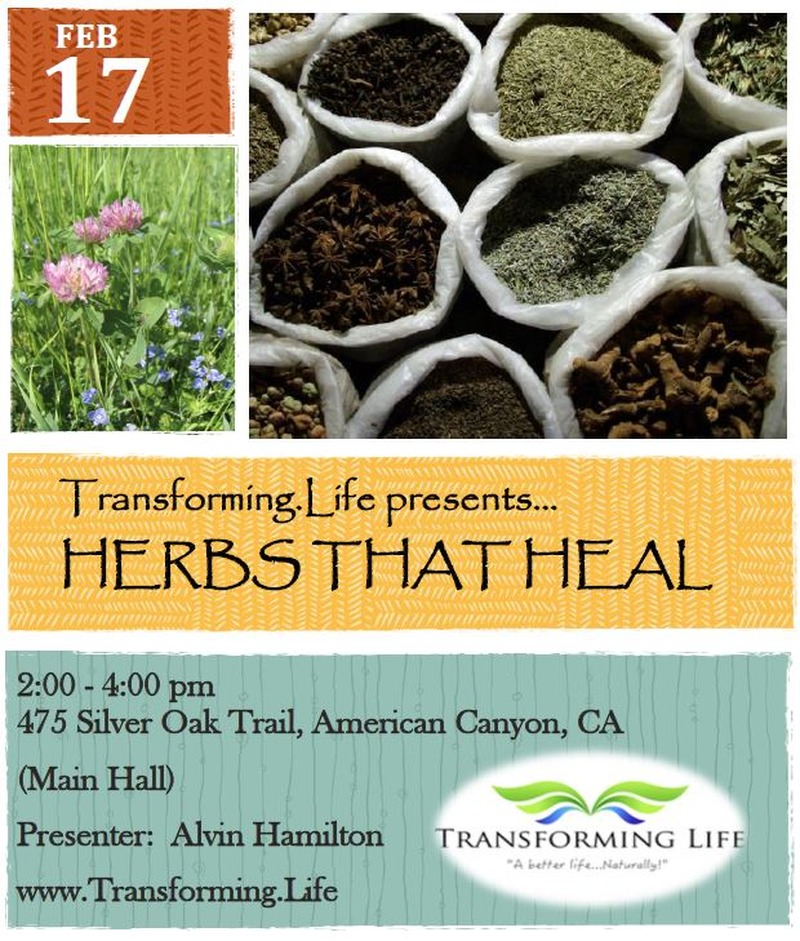 Wellness Corner - Herbs that Heal: Feb. 17th